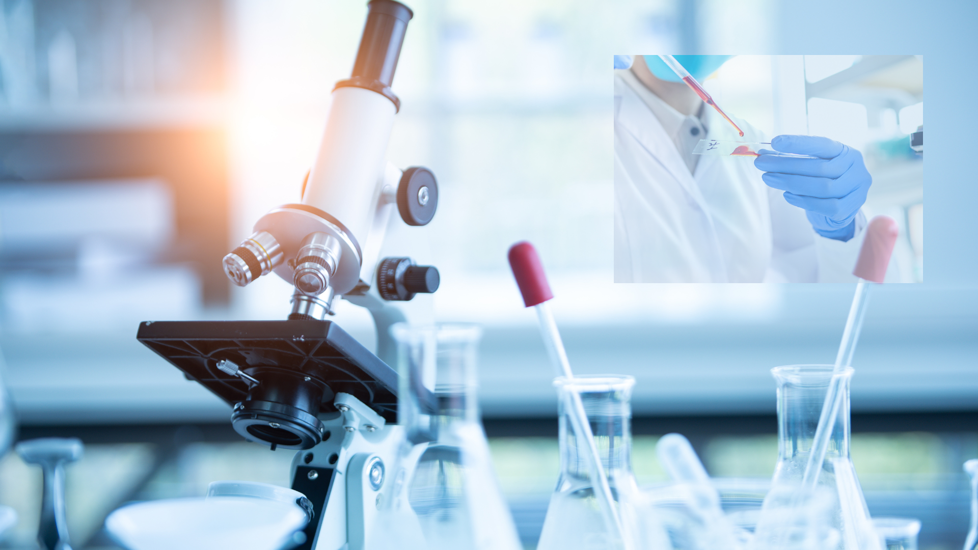 Vedh Bioscience Lab